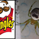 Illustration for article titled Was The Pringles Man Inspired By This Spider?